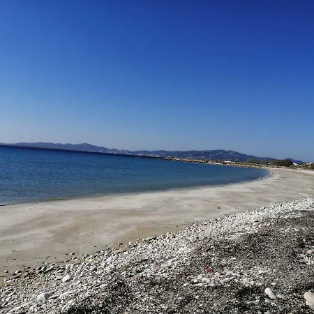 Paro's King Luxury A3 * Alikí